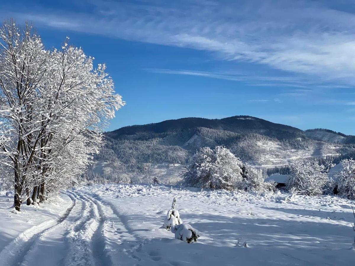 Hotel Medova Hata Verkhnyaya Rozhanka Esterno foto